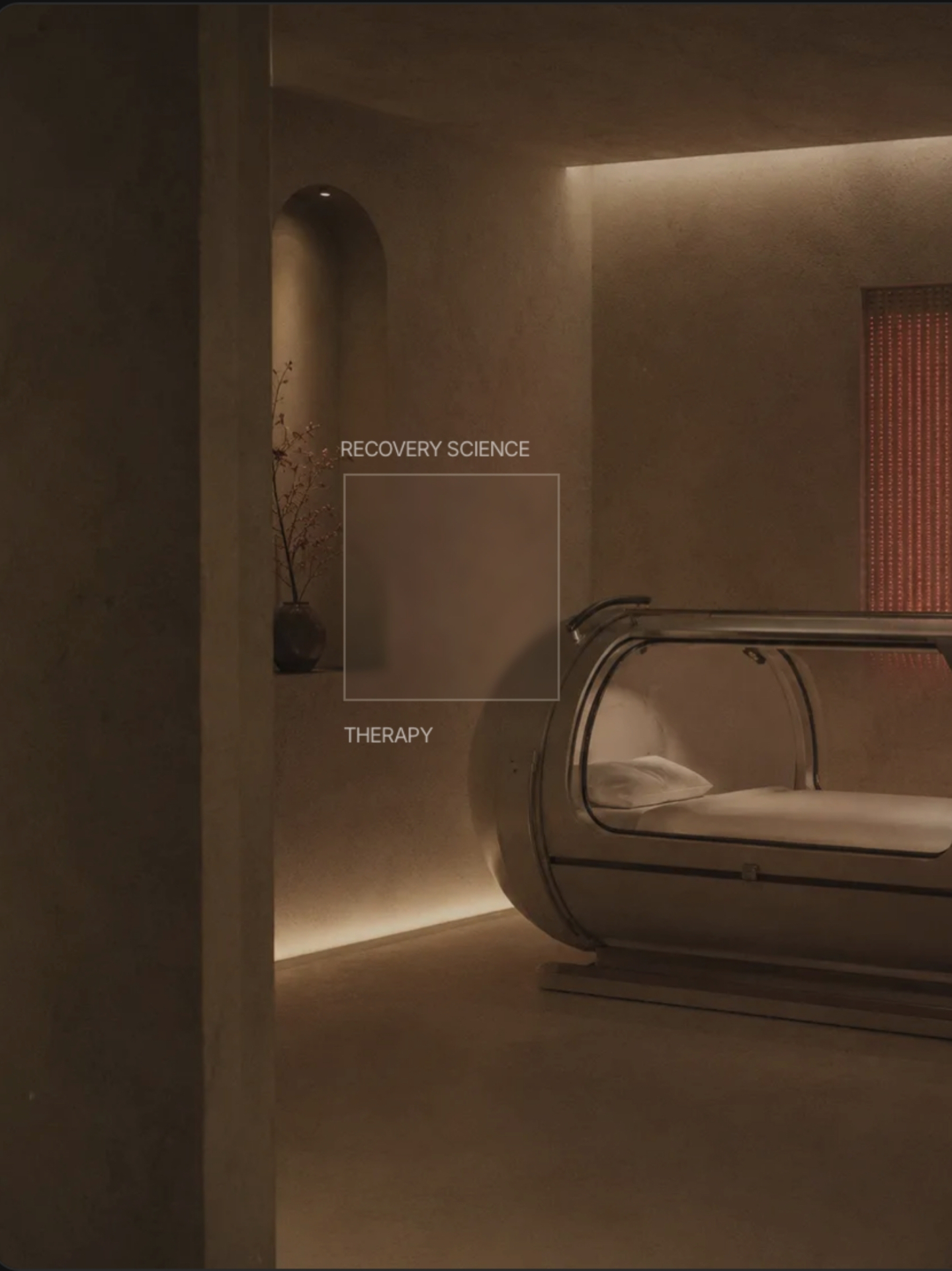 Recovery science therapy interior